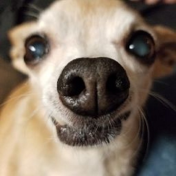 Meet your Posher, Rob - Picture 1 of 1